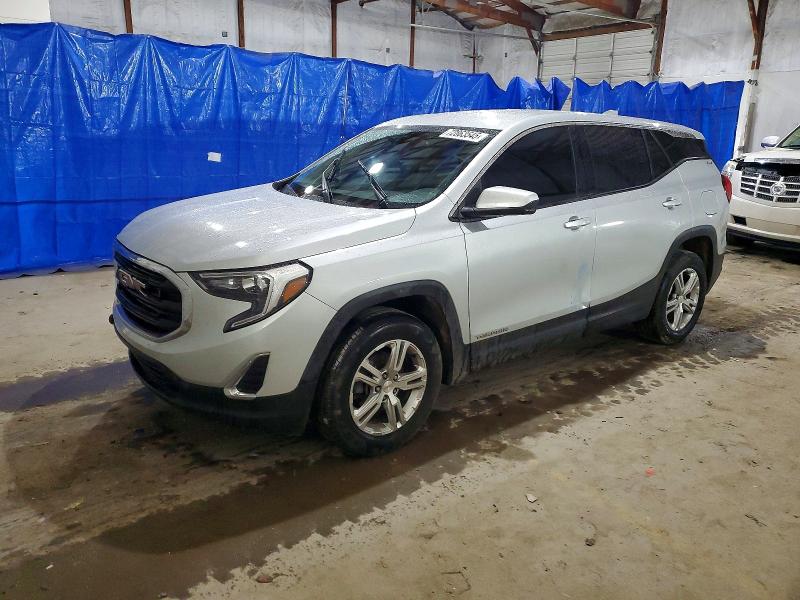 GMC TERRAIN SL 2019 with VIN 3GKALTEV2KL192291 - Photo from auction