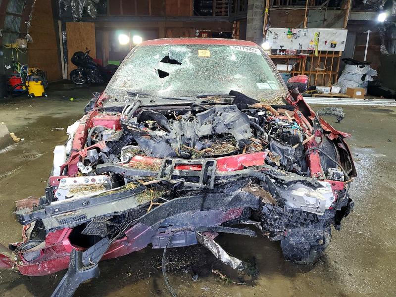 Photo 5 from auction – 2023 ACURA INTEGRA with VIN 19UDE4H25PA003708