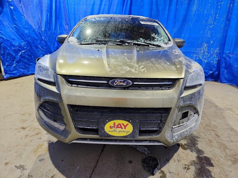 Photo 5 from auction – 2013 FORD ESCAPE SE with VIN 1FMCU0G98DUA77490