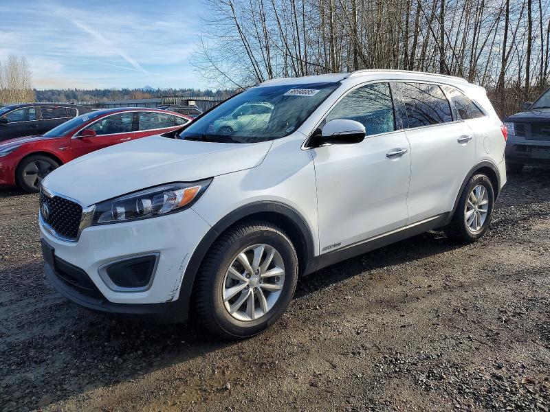 KIA SORENTO LX 2017 with VIN 5XYPGDA50HG317648 - Photo from auction