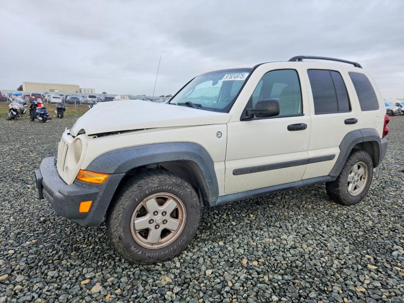 JEEP LIBERTY SP 2007 with VIN 1J4GL48K07W516993 - Photo from auction