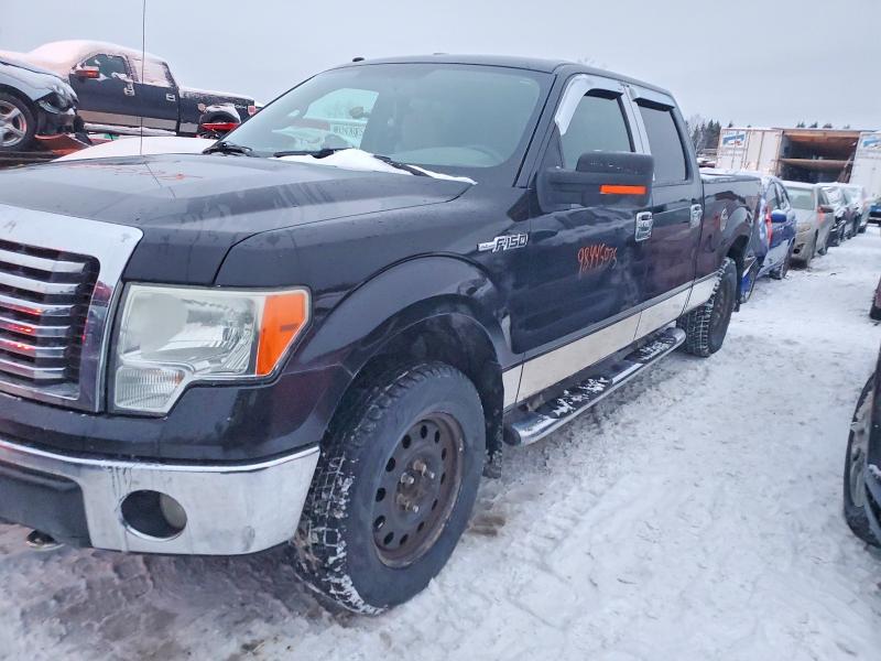 FORD F150 SUPER 2010 with VIN 1FTFW1EV7AFA79832 - Photo from auction