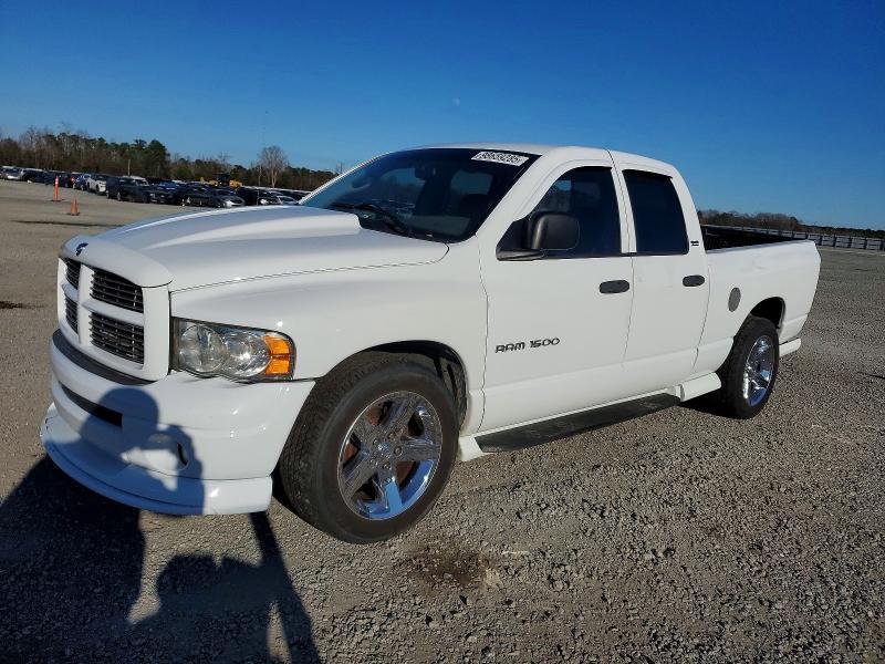 DODGE RAM 1500 2002 con VIN 1D7HA18Z02J198915 - Foto de la subasta