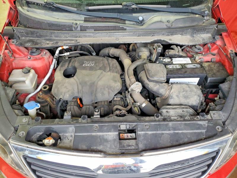 Photo 12 from auction – 2013 KIA SPORTAGE S with VIN KNDPC3A66D7424595