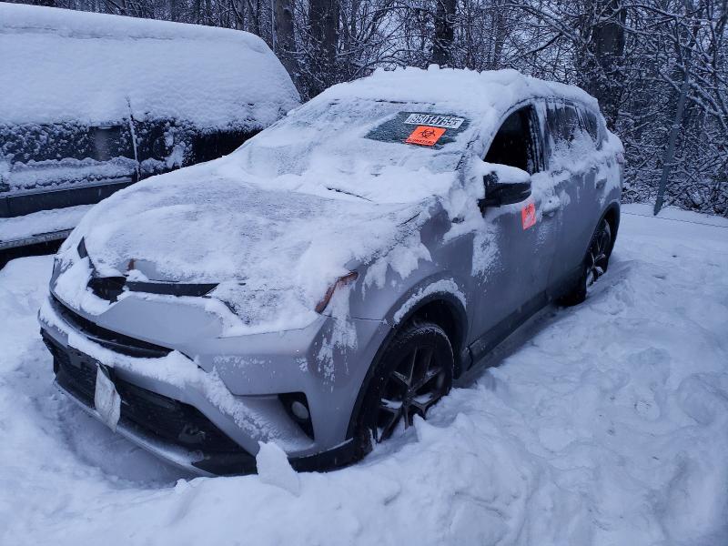TOYOTA RAV4 SE 2016 with VIN 2T3JFREV0GW499657 - Photo from auction