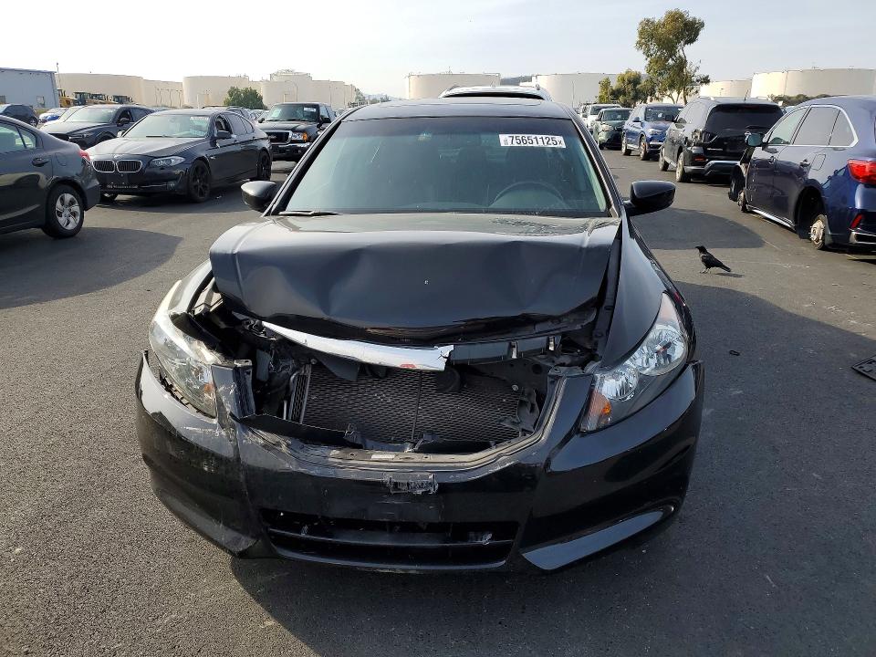 Photo 5 from auction – 2011 HONDA ACCORD EXL with VIN 1HGCP2F84BA016542