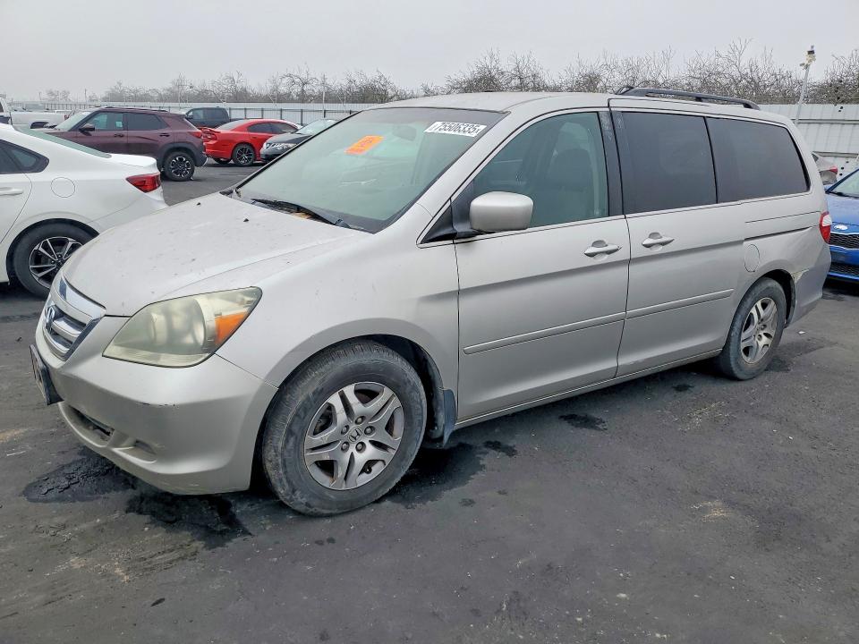 HONDA ODYSSEY EX 2007 with VIN 5FNRL38437B423349 - Photo from auction