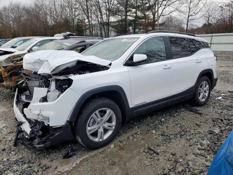 GMC TERRAIN SL 2024 with VIN 3GKALTEG7RL379392 - Photo from auction