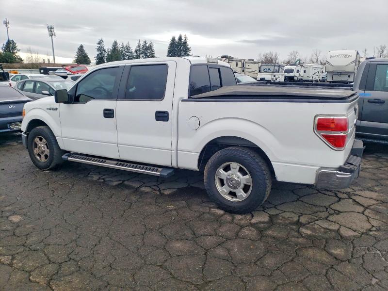 Photo 2 from auction – 2010 FORD F150 with VIN 1FTFW1CVXAFD67007