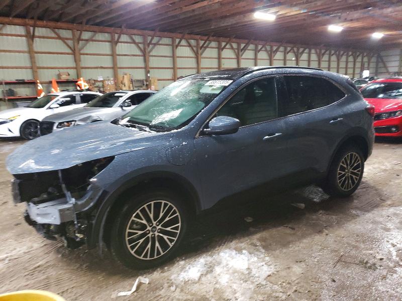 FORD ESCAPE 2025 с VIN 1FMCU0E15SUA74430 - Снимка от търг