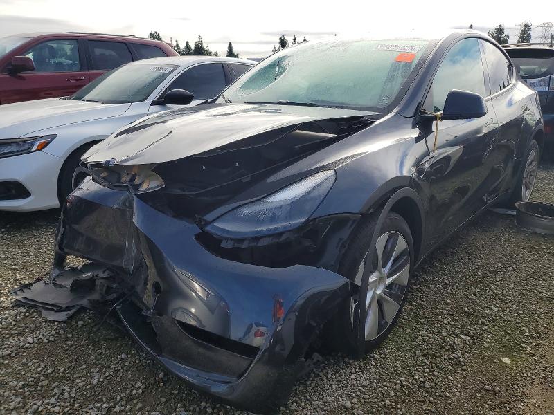 TESLA MODEL Y 2024 with VIN 7SAYGDED8RF087150 - Photo from auction