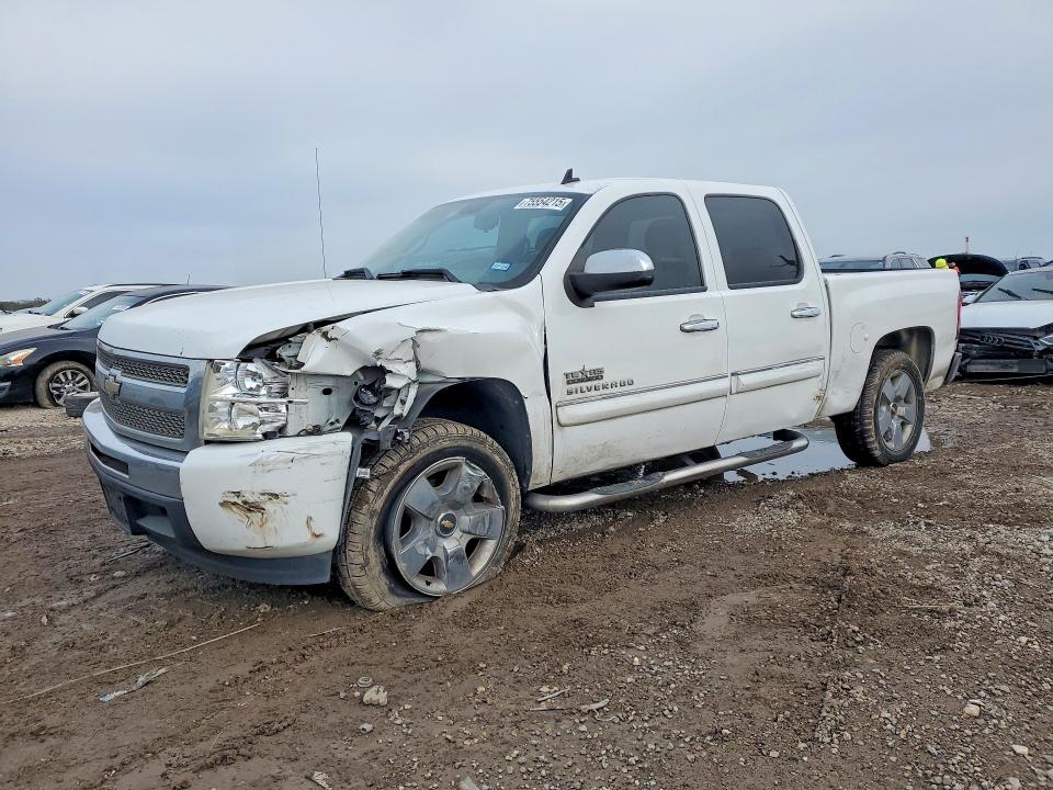 CHEVROLET SILVERADO 2009 with VIN 3GCEC23039G290330 - Photo from auction
