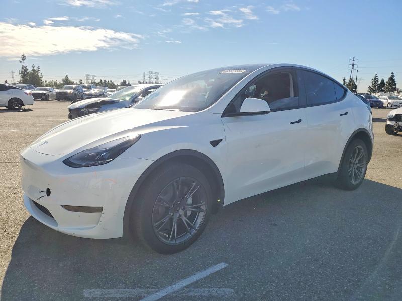 TESLA MODEL Y 2024 with VIN 7SAYGDED8RF202684 - Photo from auction