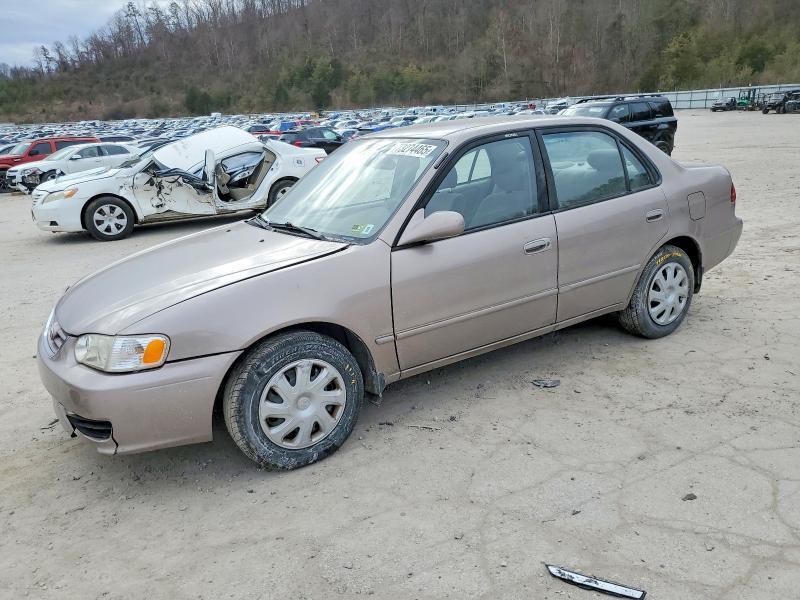 TOYOTA COROLLA CE 2001 with VIN 2T1BR12E01C497765 - Photo from auction