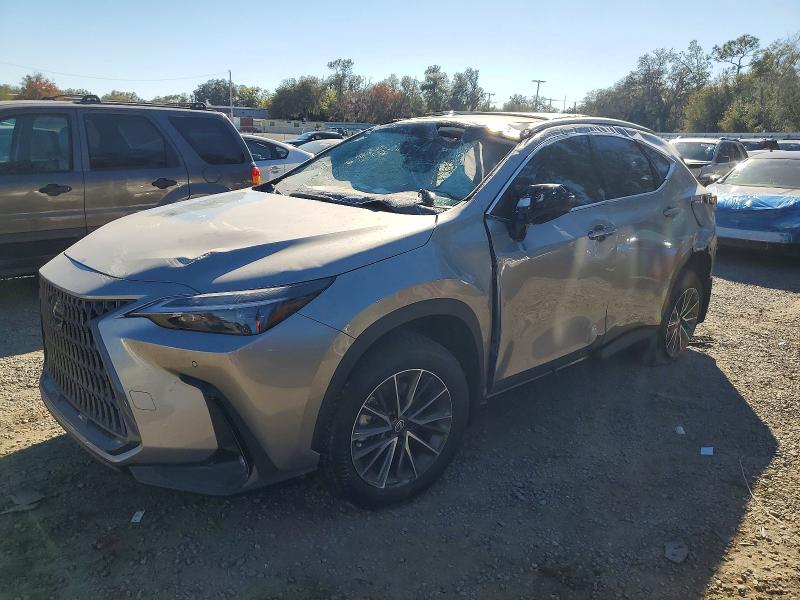 LEXUS NX 2026 with VIN 2T2GGCEZ4TC096563 - Photo from auction