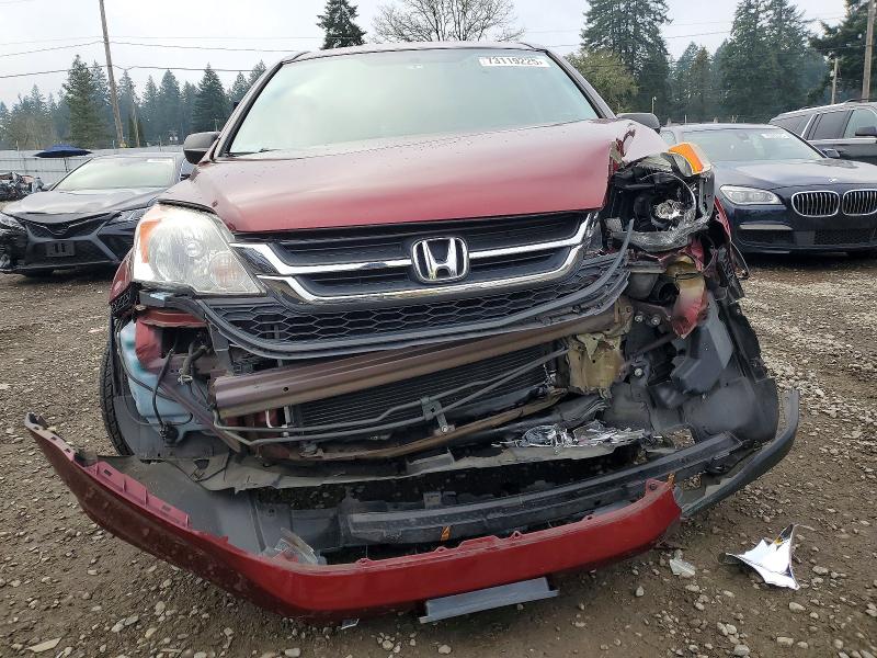 Photo 5 from auction – 2011 HONDA CR-V SE with VIN 5J6RE4H40BL077809