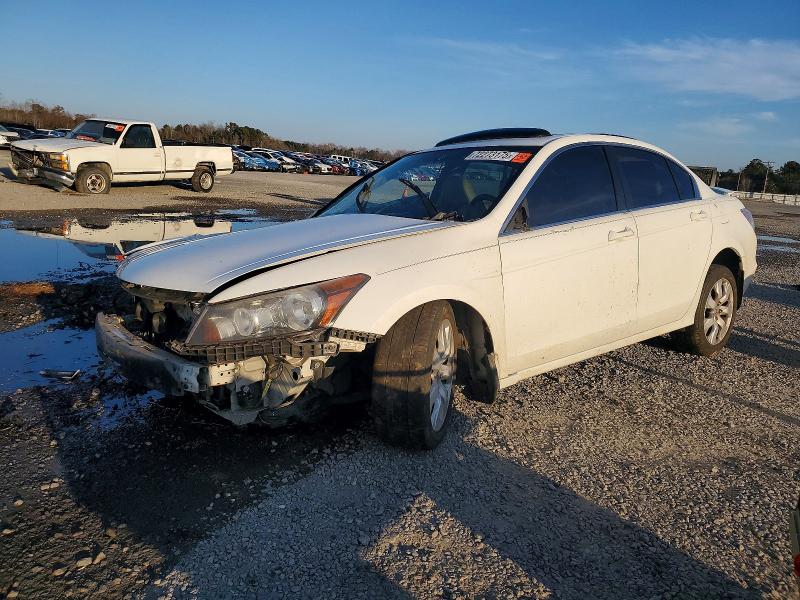HONDA ACCORD EXL 2010 with VIN 1HGCP2F80AA104387 - Photo from auction