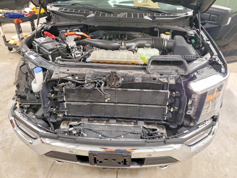 Photo 11 from auction – 2021 FORD F150 SUPER with VIN 1FTFW1ED1MFC49503