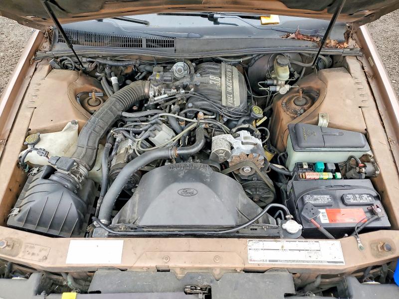 Фото 11 с аукциона – 1991 FORD THUNDERBIR с VIN 1FAPP604XMH172162