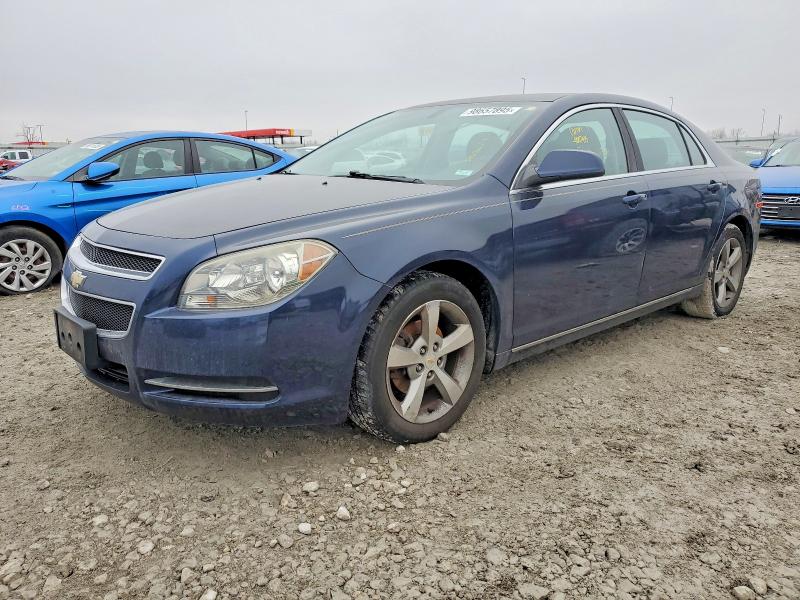 CHEVROLET MALIBU 1LT 2011 with VIN 1G1ZC5E16BF394478 - Photo from auction