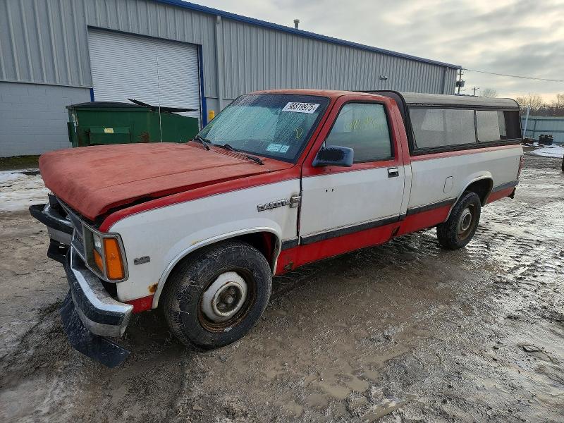 DODGE DAKOTA 1987 with VIN 1B7GN14M6HS343091 - Photo from auction