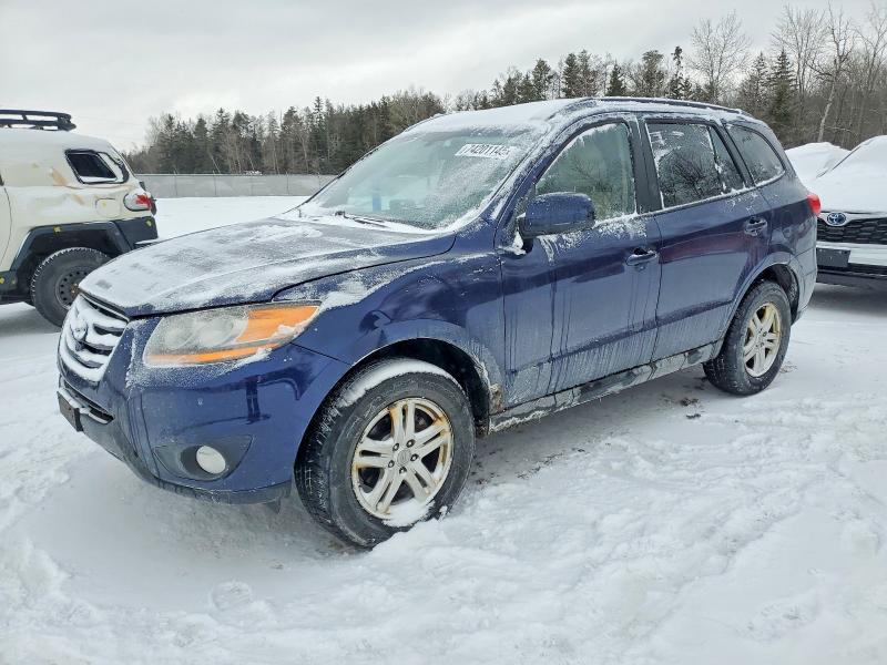 HYUNDAI SANTA FE 2010 z numerem VIN 5NMSGDAG4AH414195 - Zdjęcie z aukcji