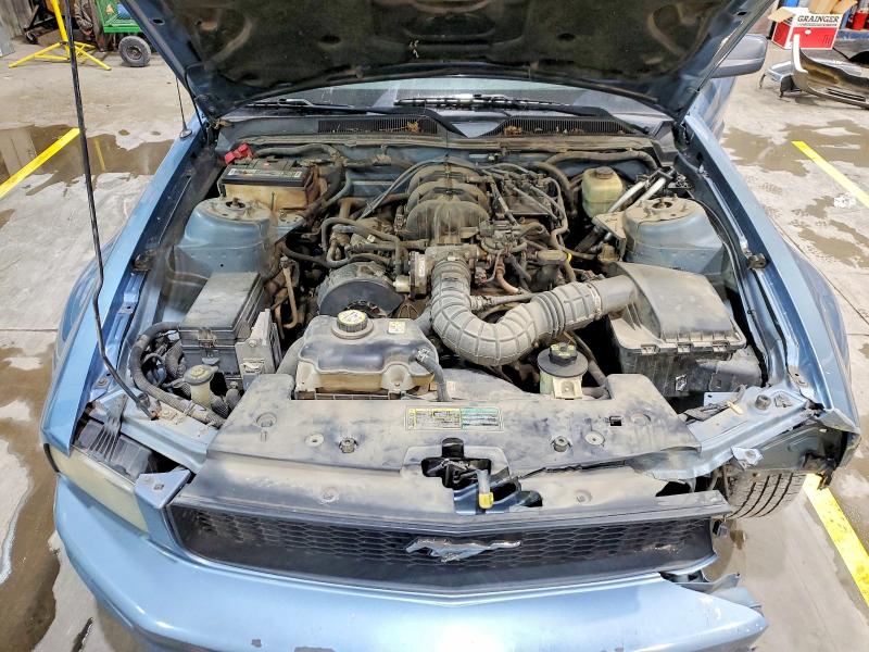 Photo 11 from auction – 2005 FORD MUSTANG with VIN 1ZVFT80N855244076