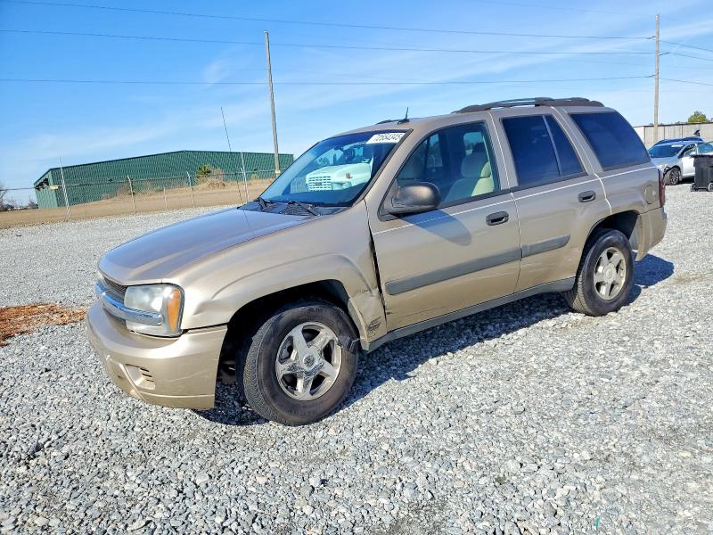 CHEVROLET TRAILBLAZE 2005 with VIN 1GNDT13S252309791 - Photo from auction