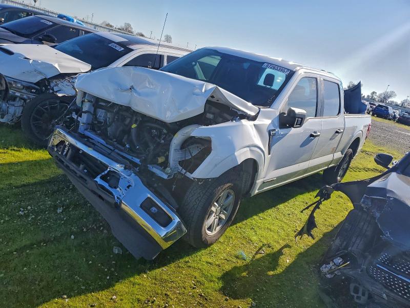 Photo 1 from auction – 2025 FORD F150 with VIN 1FTFW1FD3SFA23197