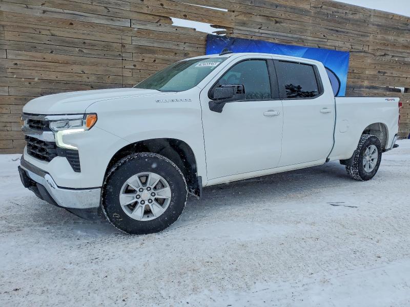 CHEVROLET SILVERADO 2023 with VIN 3GCUDDED2PG184758 - Photo from auction