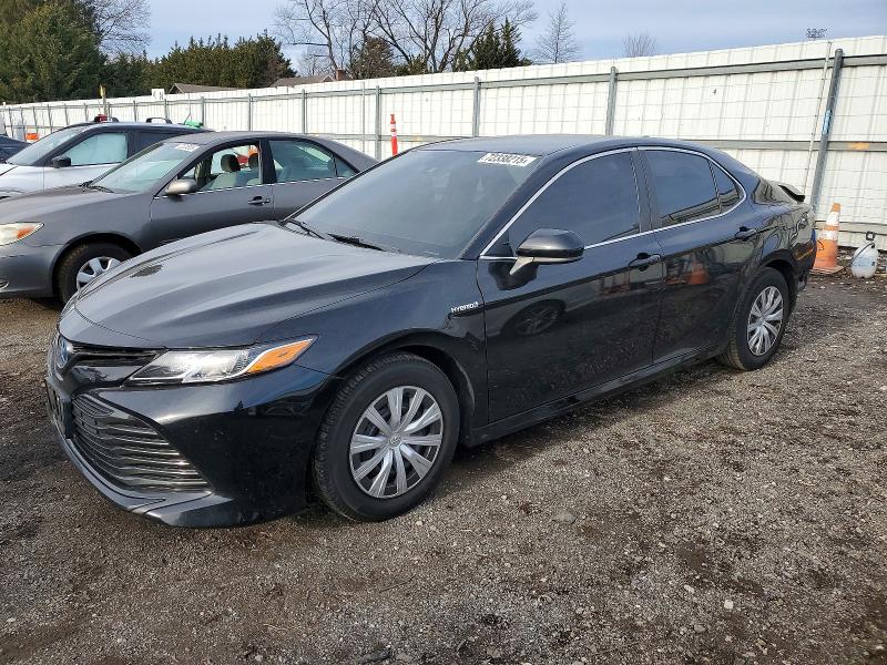 TOYOTA CAMRY 2020 z numerem VIN 4T1C31AK2LU546110 - Zdjęcie z aukcji