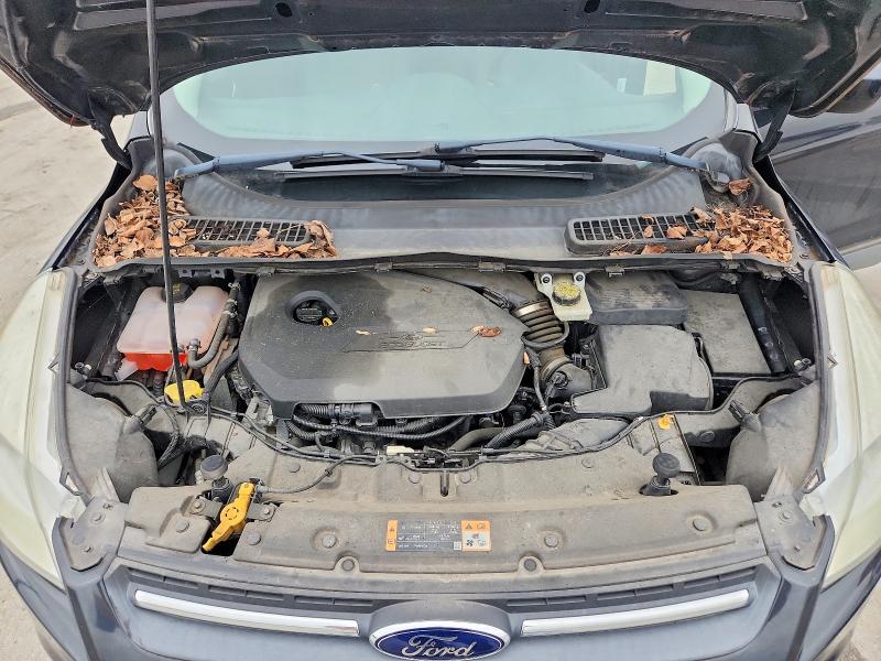 Photo 12 from auction – 2014 FORD ESCAPE SE with VIN 1FMCU0GX0EUB55194