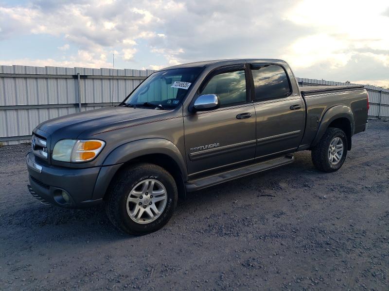 TOYOTA TUNDRA DOU 2004 with VIN 5TBDT44164S436172 - Photo from auction