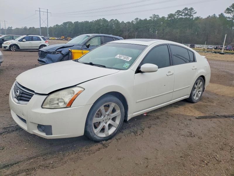 NISSAN MAXIMA SE 2008 with VIN 1N4BA41E18C834334 - Photo from auction