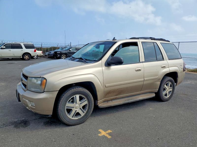 CHEVROLET TRAILBLAZER 2006 with VIN 1GNDS13S062344575 - Photo from auction