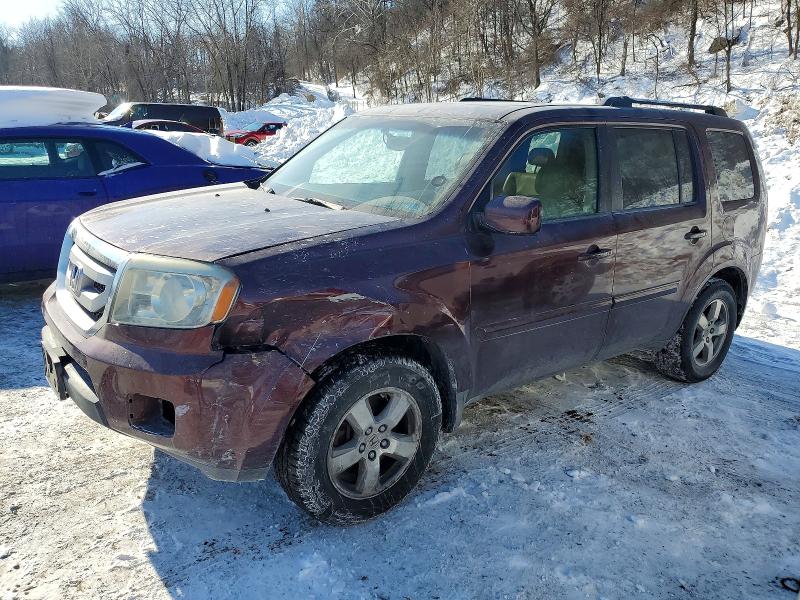 HONDA PILOT EXL 2009 with VIN 5FNYF48629B007273 - Photo from auction