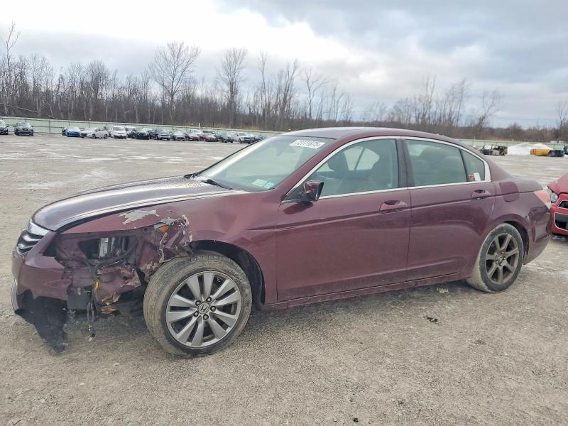 HONDA ACCORD 2011 with VIN 1HGCP2F81BA095135 - Photo from auction