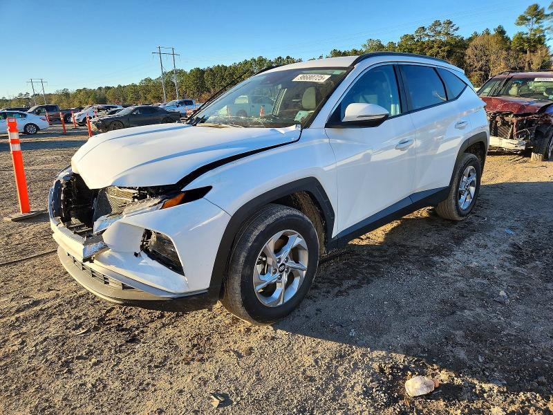 HYUNDAI TUCSON 2023 with VIN 5NMJBCAE5PH281667 - Photo from auction