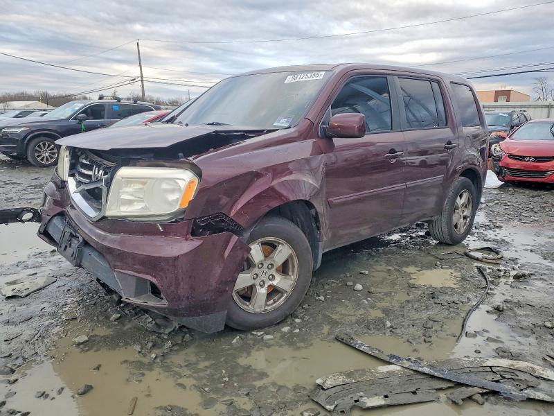 HONDA PILOT EXL 2013 with VIN 5FNYF4H51DB024419 - Photo from auction