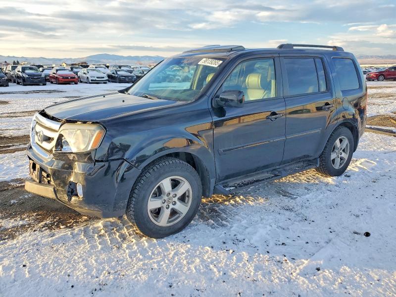 HONDA PILOT EXL 2011 with VIN 5FNYF4H51BB085265 - Photo from auction