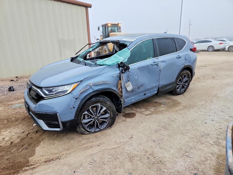 HONDA CR-V EXL 2022 with VIN 5J6RT6H84NL041954 - Photo from auction