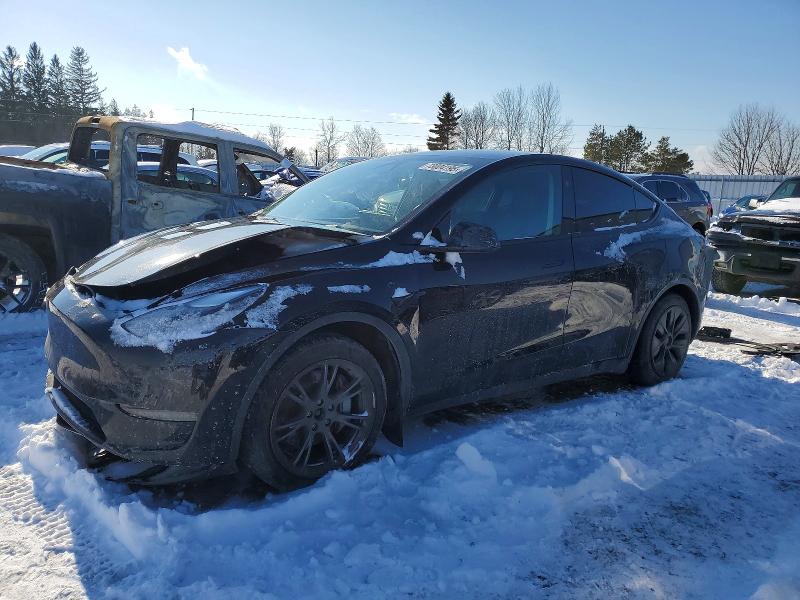 TESLA MODEL Y 2024 with VIN 7SAYGDEEXRF111053 - Photo from auction