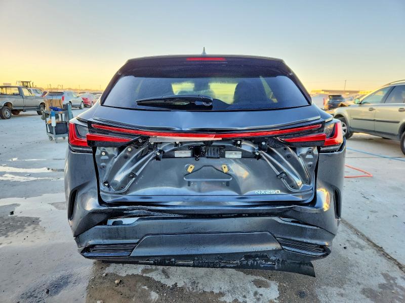 Photo 6 from auction – 2024 LEXUS NX 250 BAS with VIN 2T2ADCAZ2RC009806