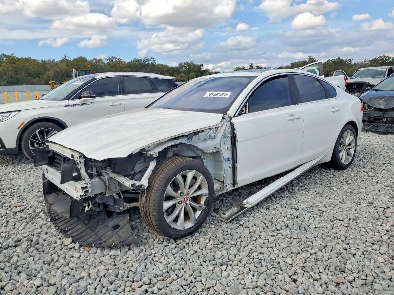 JAGUAR XF PREMIUM 2018 with VIN SAJBD4FX3JCY55561 - Photo from auction