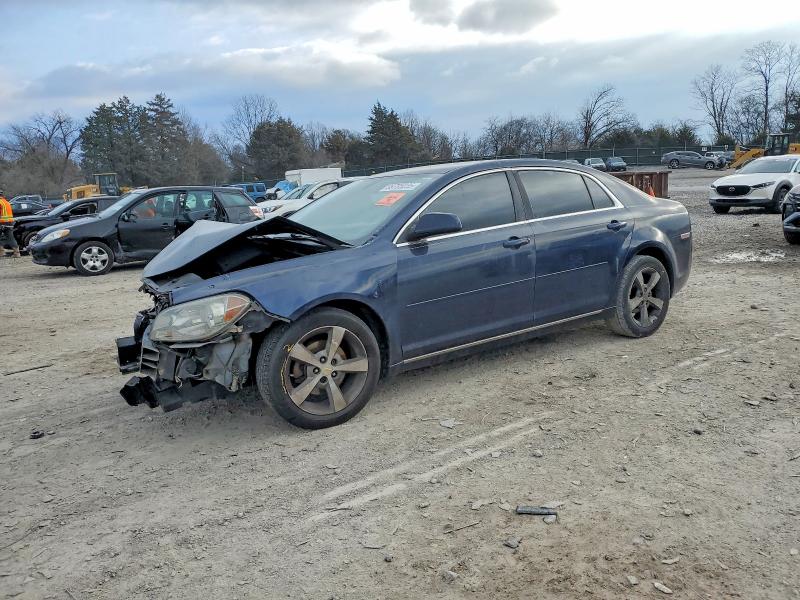 CHEVROLET MALIBU 1LT 2011 with VIN 1G1ZC5E16BF172930 - Photo from auction