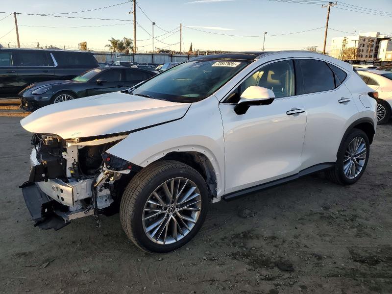 2024 LEXUS NX 350 LUX - Търг №72847605
