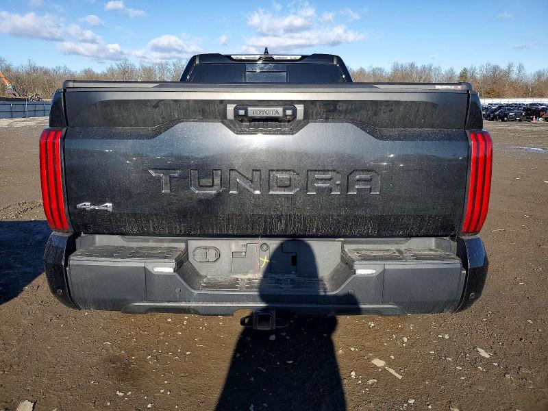 Photo 6 from auction – 2022 TOYOTA TUNDRA DOU with VIN 5TFLA5DA3NX009669