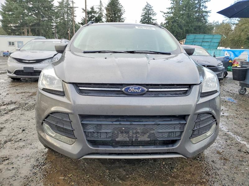 Photo 5 from auction – 2014 FORD ESCAPE SE with VIN 1FMCU9G9XEUD03311