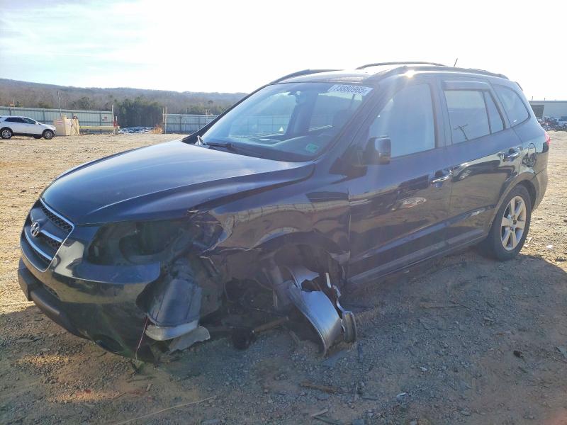 HYUNDAI SANTA FE 2009 with VIN 5NMSH13E69H333055 - Photo from auction