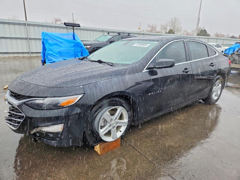 CHEVROLET MALIBU LS 2019 with VIN 1G1ZB5ST6KF196833 - Photo from auction